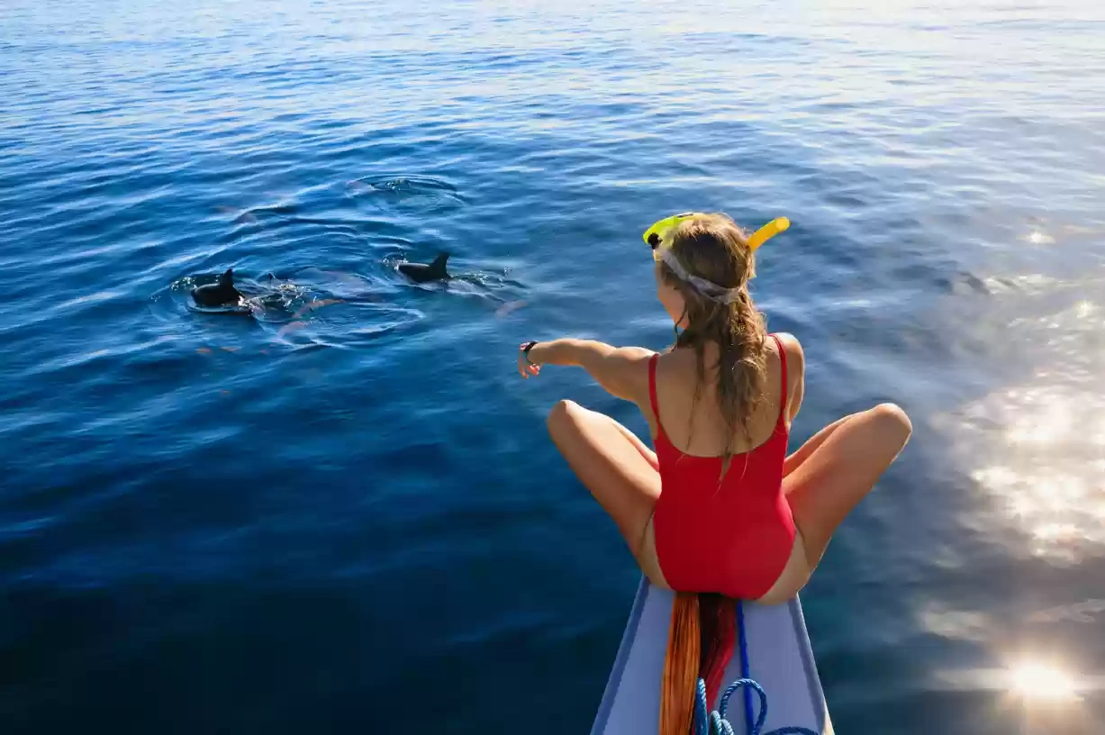 Bali Dolphin Tour