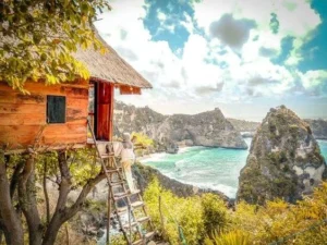 Tree House Molenteng