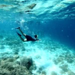 Nusa Penida Snorkeling Package