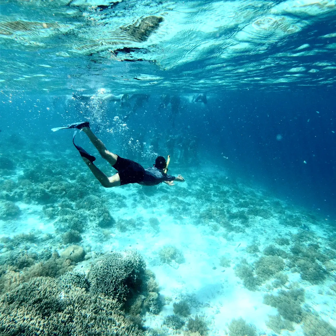 Nusa Penida Snorkeling Package