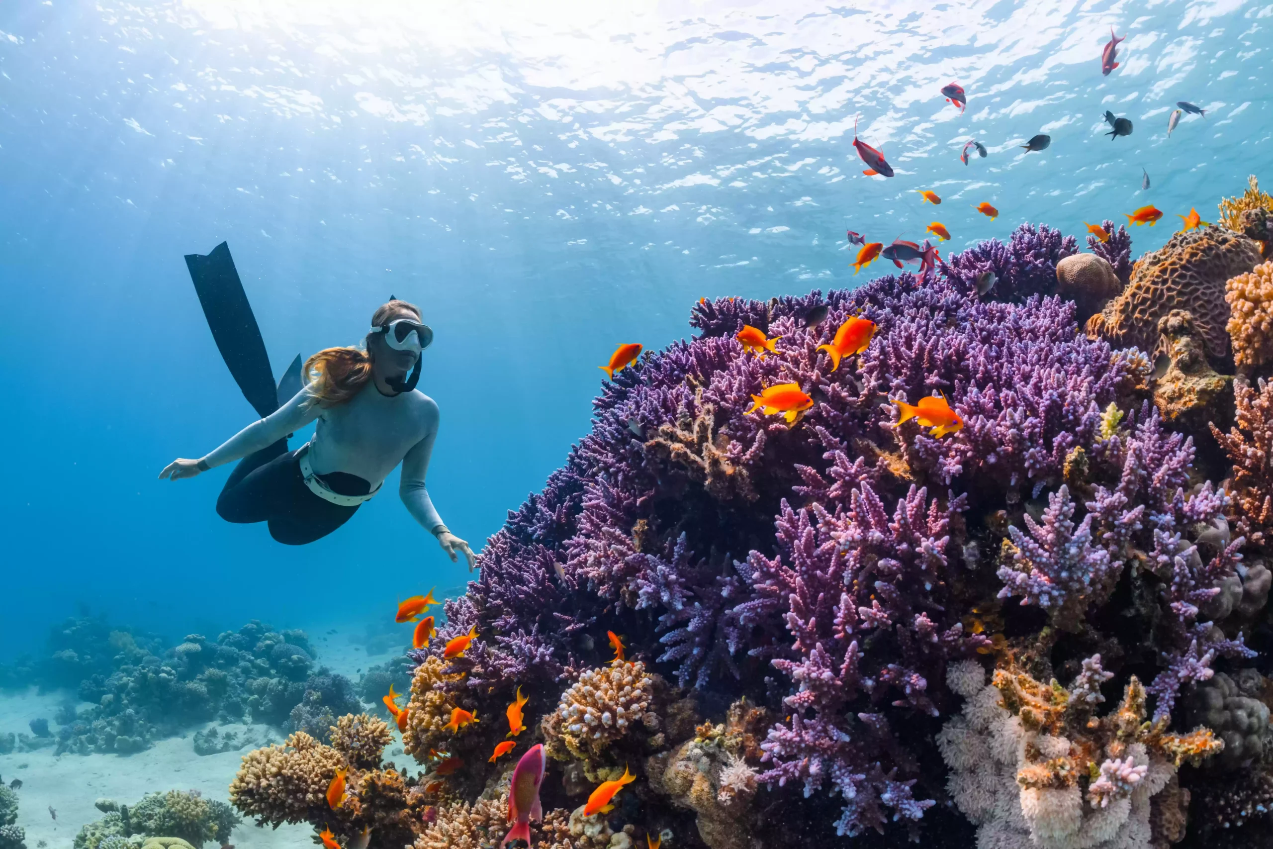 Bali Sea Walker Tour